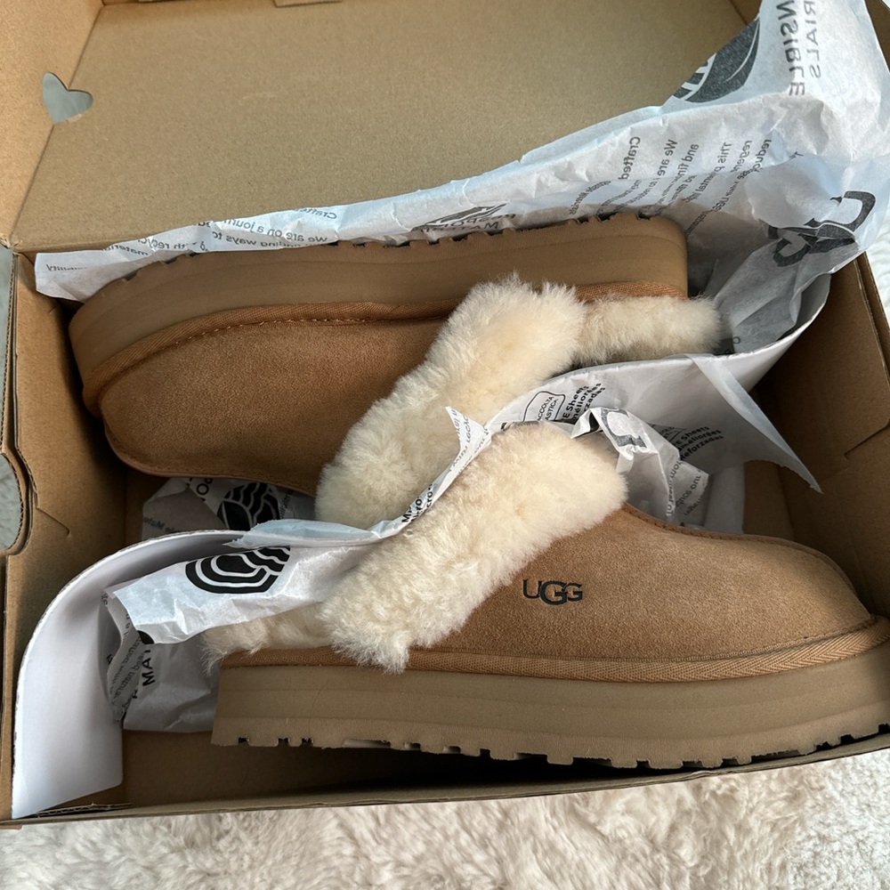 Brand new and never worn Uggs in box